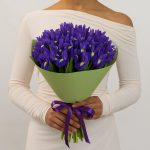 Ирисы недорогие