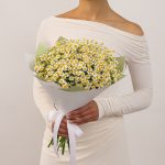 Полевые цветы белые